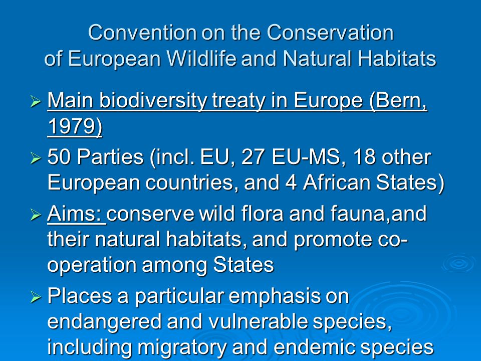 Convention on the Conservation of European Wildlife and Natural Habitats  Main biodiversity treaty in Europe (Bern, 1979)  50 Parties (incl.