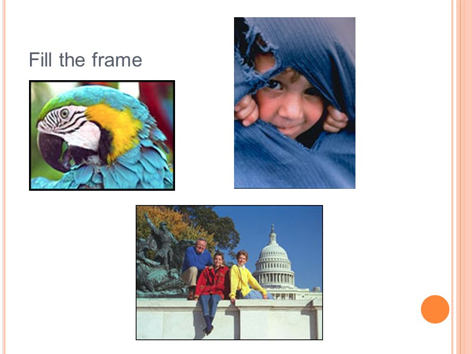 Fill the frame