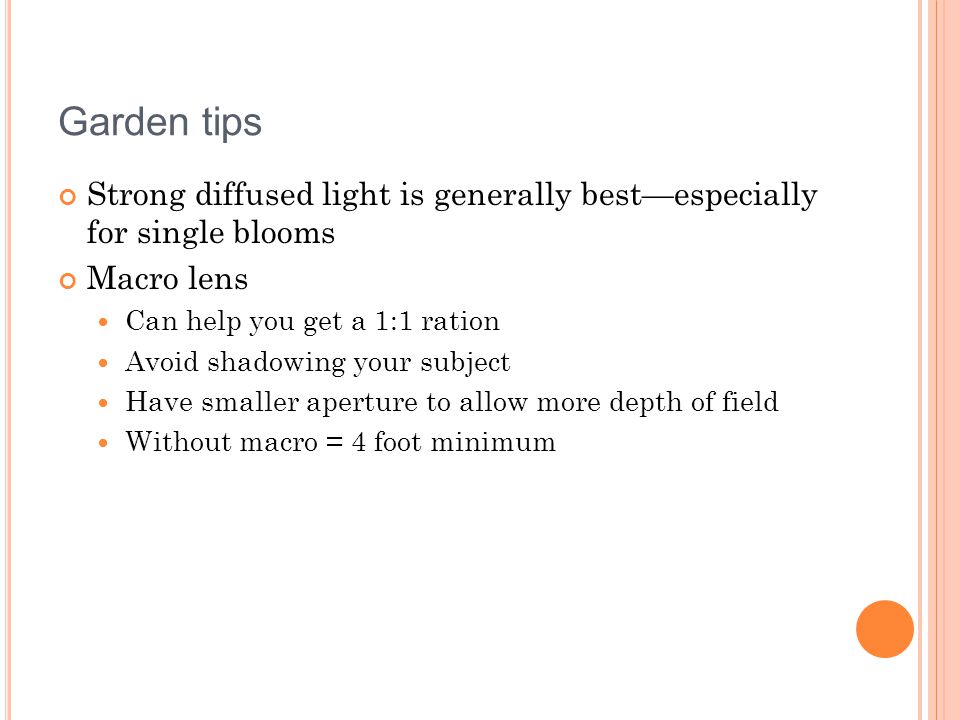 Garden tips Strong diffused light is generally best—especially for single blooms Macro lens Can help you get a 1:1 ration Avoid shadowing your subject Have smaller aperture to allow more depth of field Without macro = 4 foot minimum