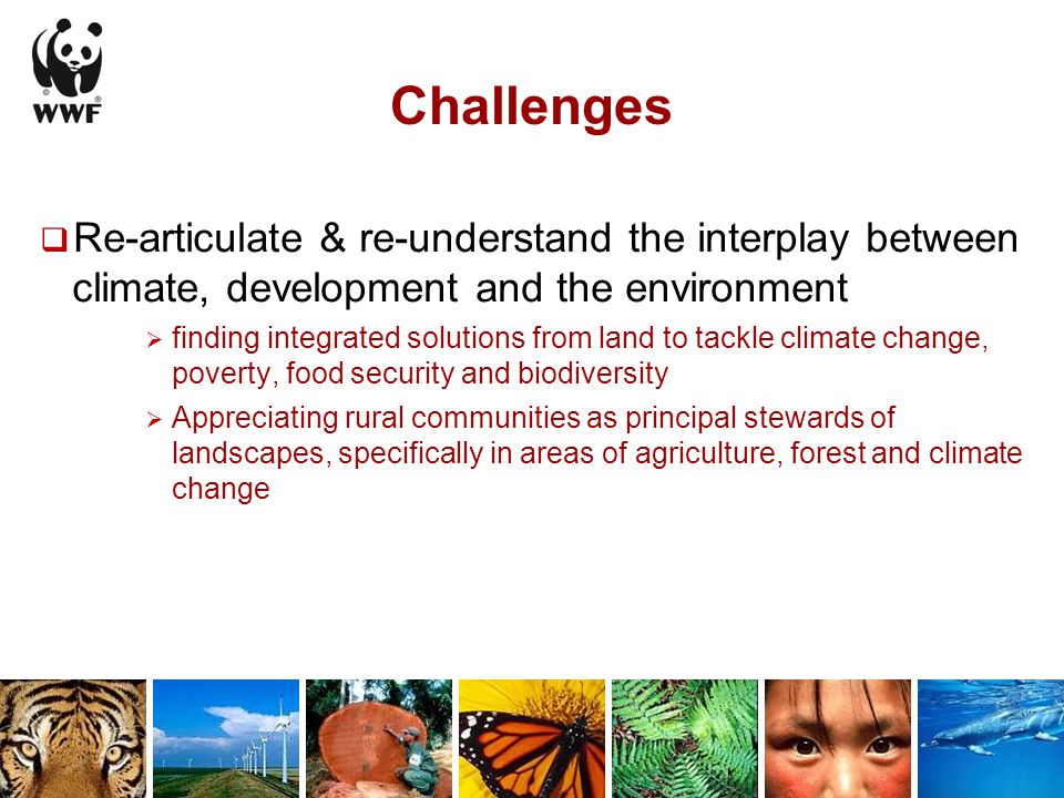 Challenges  Re-articulate & re-understand the interplay between climate, development and the environment  finding integrated solutions from land to tackle climate change, poverty, food security and biodiversity  Appreciating rural communities as principal stewards of landscapes, specifically in areas of agriculture, forest and climate change