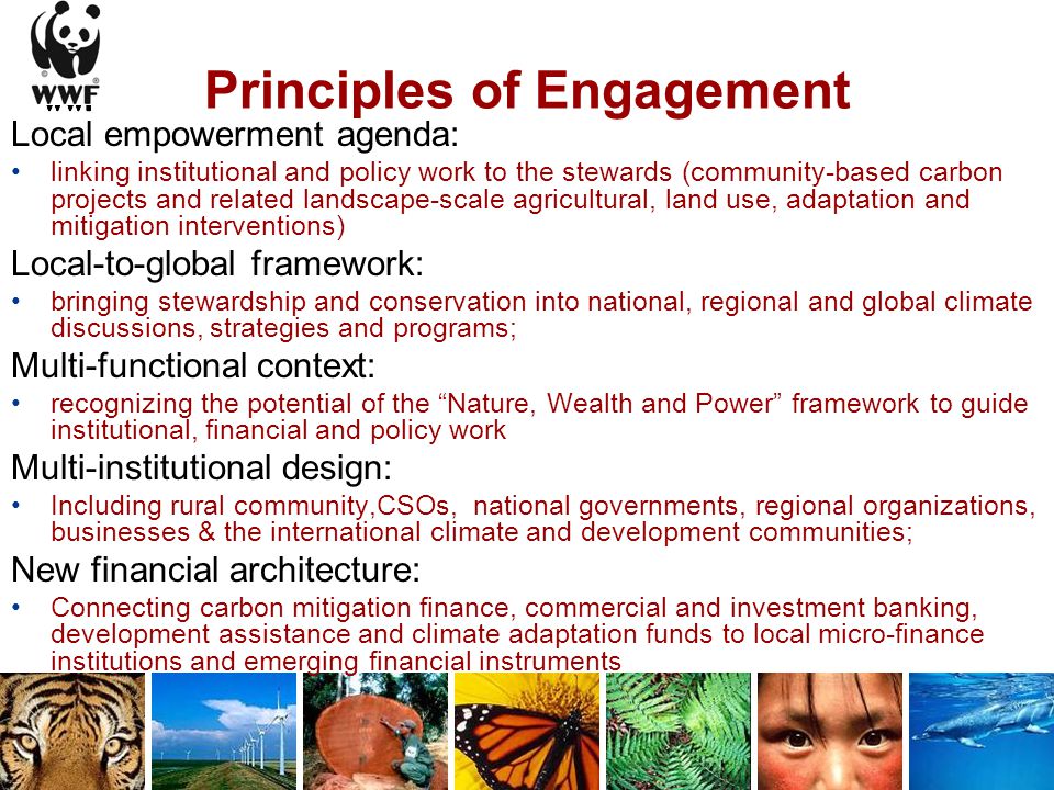 Principles of Engagement Local empowerment agenda: linking institutional and policy work to the stewards (community-based carbon projects and related landscape-scale agricultural, land use, adaptation and mitigation interventions) Local-to-global framework: bringing stewardship and conservation into national, regional and global climate discussions, strategies and programs; Multi-functional context: recognizing the potential of the Nature, Wealth and Power framework to guide institutional, financial and policy work Multi-institutional design: Including rural community,CSOs, national governments, regional organizations, businesses & the international climate and development communities; New financial architecture: Connecting carbon mitigation finance, commercial and investment banking, development assistance and climate adaptation funds to local micro-finance institutions and emerging financial instruments
