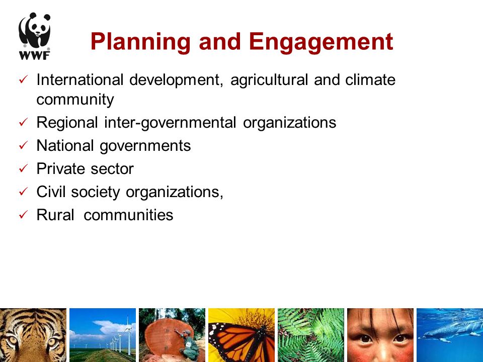 Planning and Engagement International development, agricultural and climate community Regional inter-governmental organizations National governments Private sector Civil society organizations, Rural communities