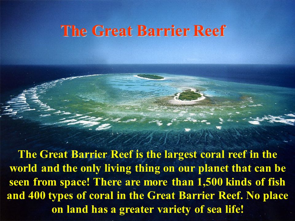 The Great Barrier Reef The Great Barrier Reef is the largest coral reef in the world and the only living thing on our planet that can be seen from space.