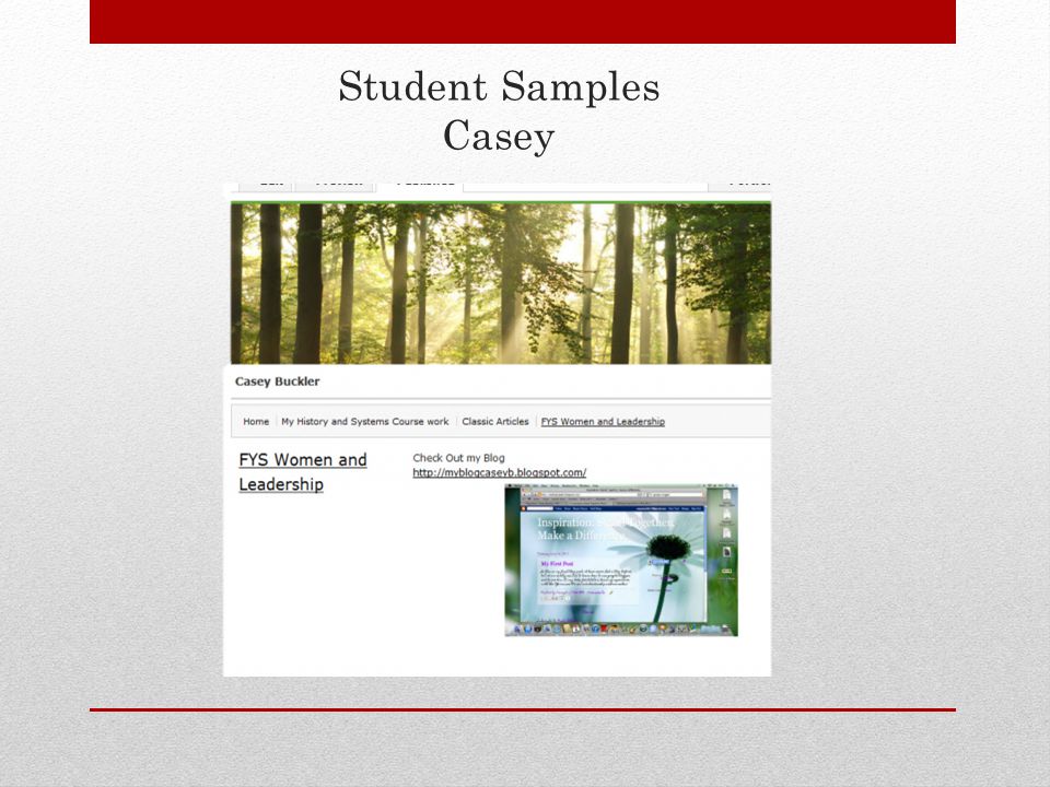 Student Samples Casey