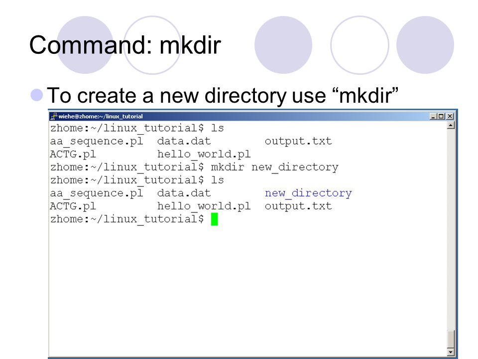 Command: mkdir To create a new directory use mkdir