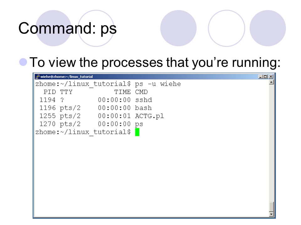 Command: ps To view the processes that you’re running: