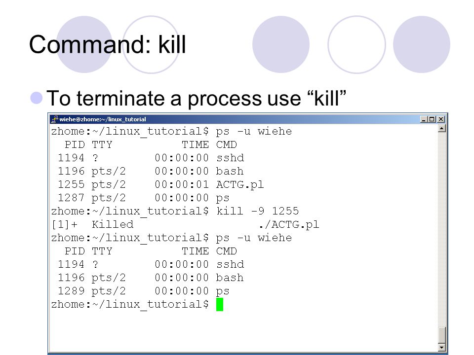 Command: kill To terminate a process use kill