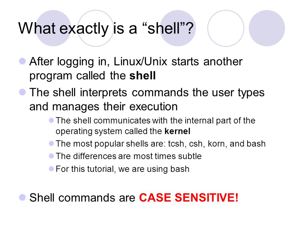 What exactly is a shell .