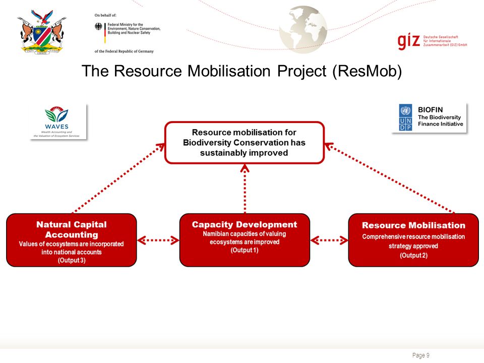 Page 9 The Resource Mobilisation Project (ResMob)
