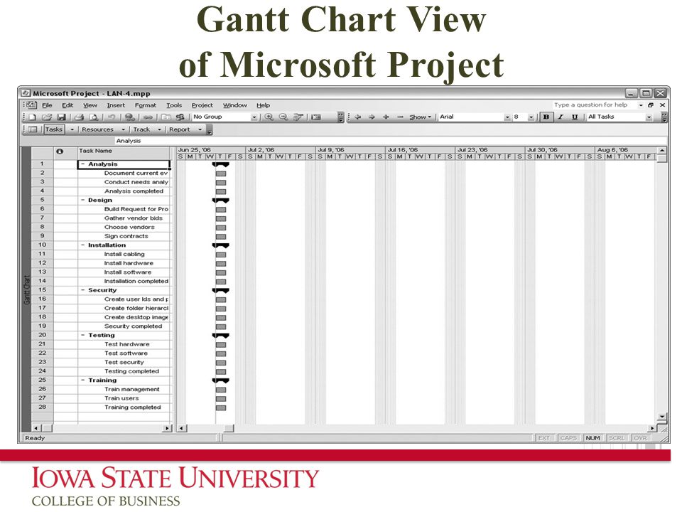 Gantt Chart View of Microsoft Project