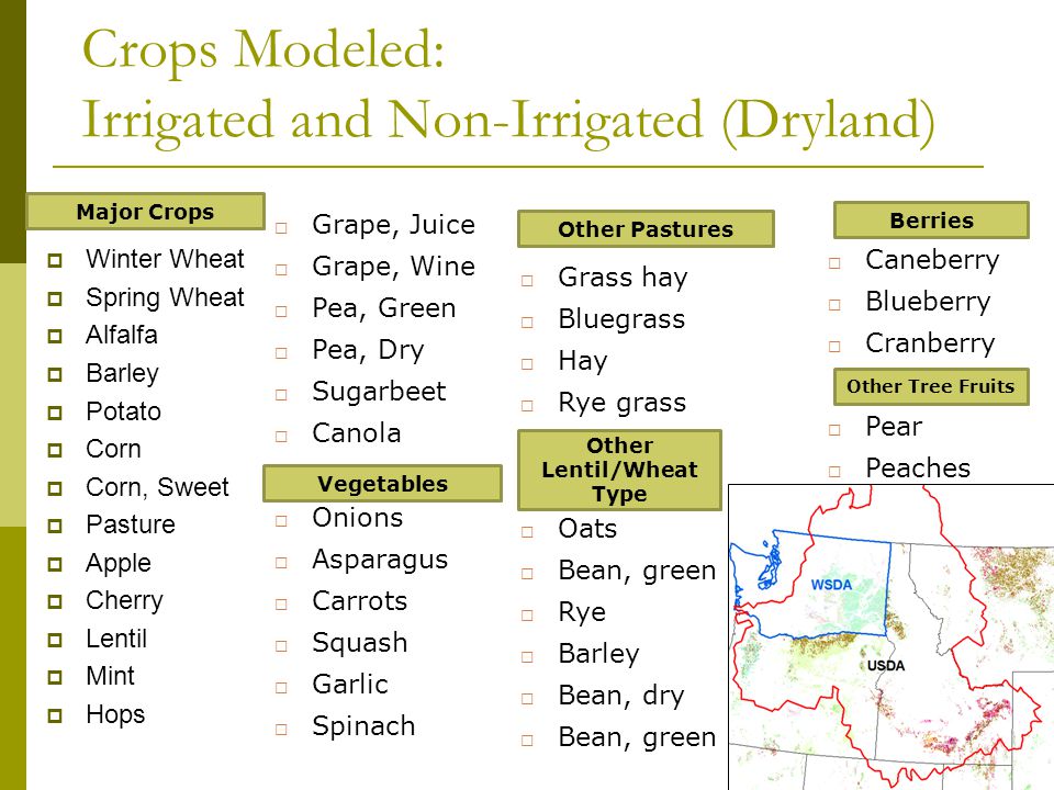 Crops Modeled: Irrigated and Non-Irrigated (Dryland)  Winter Wheat  Spring Wheat  Alfalfa  Barley  Potato  Corn  Corn, Sweet  Pasture  Apple  Cherry  Lentil  Mint  Hops  Grape, Juice  Grape, Wine  Pea, Green  Pea, Dry  Sugarbeet  Canola  Onions  Asparagus  Carrots  Squash  Garlic  Spinach Vegetables  Grass hay  Bluegrass  Hay  Rye grass  Oats  Bean, green  Rye  Barley  Bean, dry  Bean, green Other Pastures Other Lentil/Wheat Type  Caneberry  Blueberry  Cranberry  Pear  Peaches Berries Other Tree Fruits Major Crops
