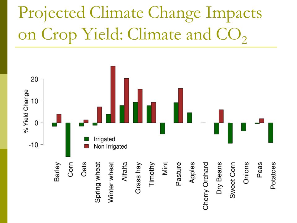 Projected Climate Change Impacts on Crop Yield: Climate and CO 2