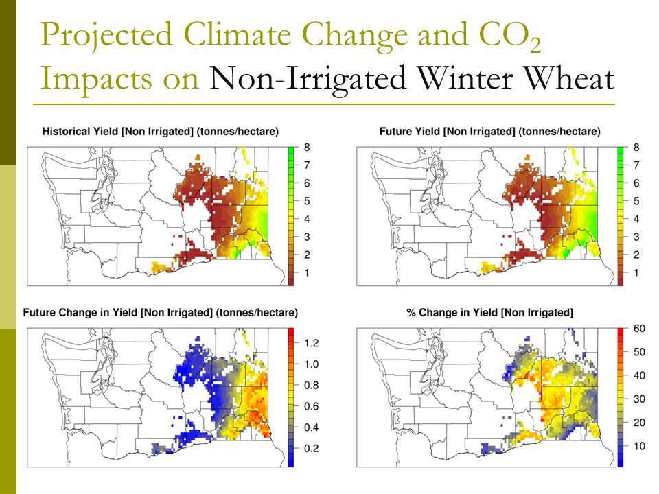 Projected Climate Change and CO 2 Impacts on Non-Irrigated Winter Wheat
