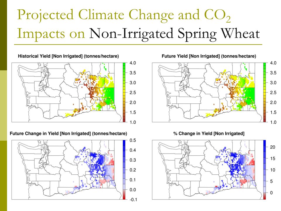 Projected Climate Change and CO 2 Impacts on Non-Irrigated Spring Wheat