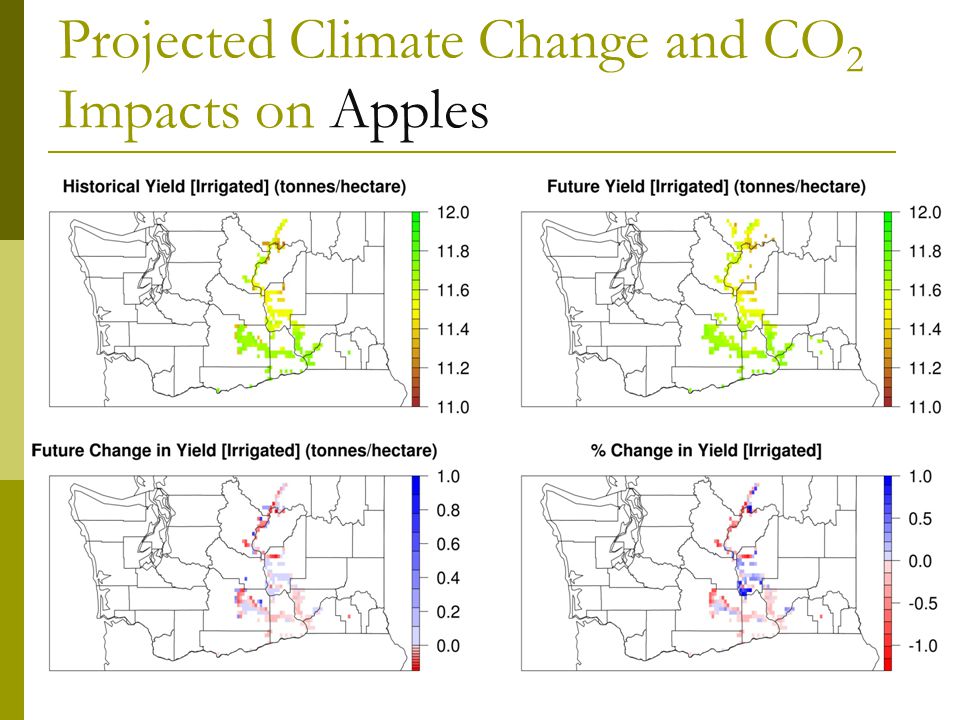 Projected Climate Change and CO 2 Impacts on Apples