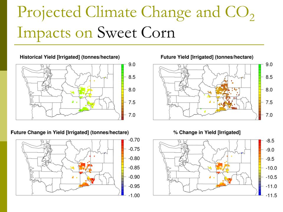 Projected Climate Change and CO 2 Impacts on Sweet Corn