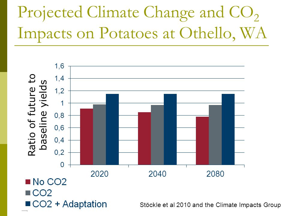 Projected Climate Change and CO 2 Impacts on Potatoes at Othello, WA Stöckle et al 2010 and the Climate Impacts Group Ratio of future to baseline yields
