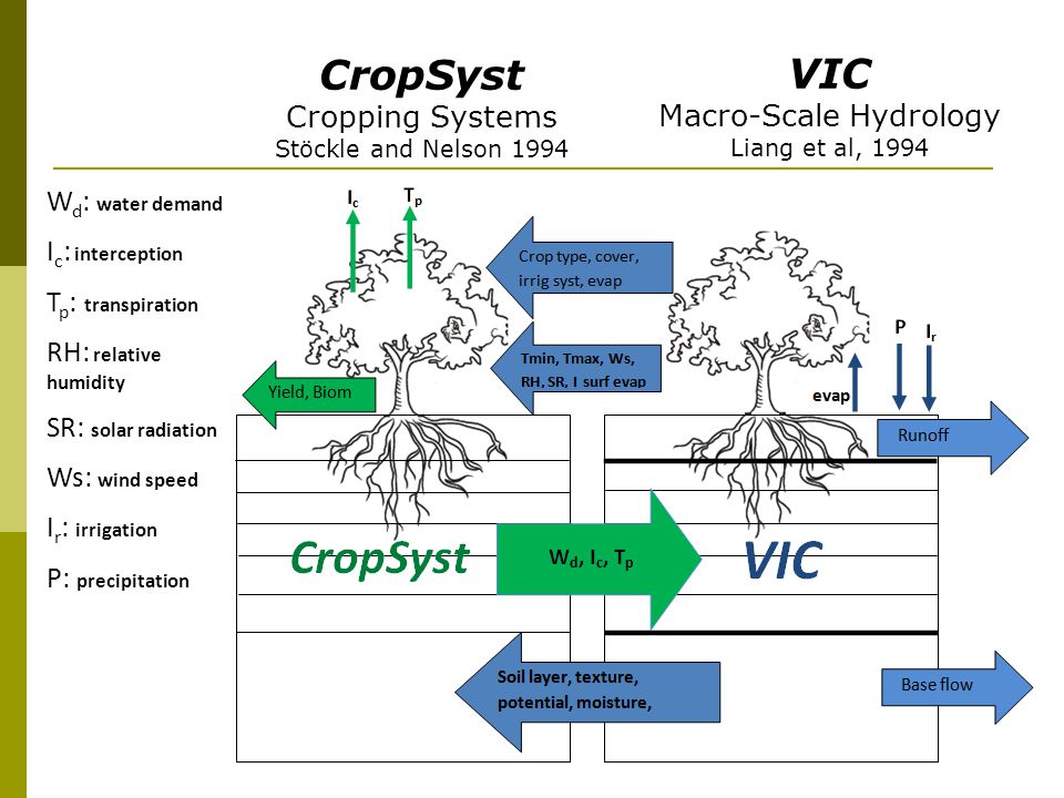 VIC Macro-Scale Hydrology Liang et al, 1994 CropSyst Cropping Systems Stöckle and Nelson 1994 W d : water demand I c : interception T p : transpiration RH: relative humidity SR: solar radiation Ws: wind speed I r : irrigation P: precipitation