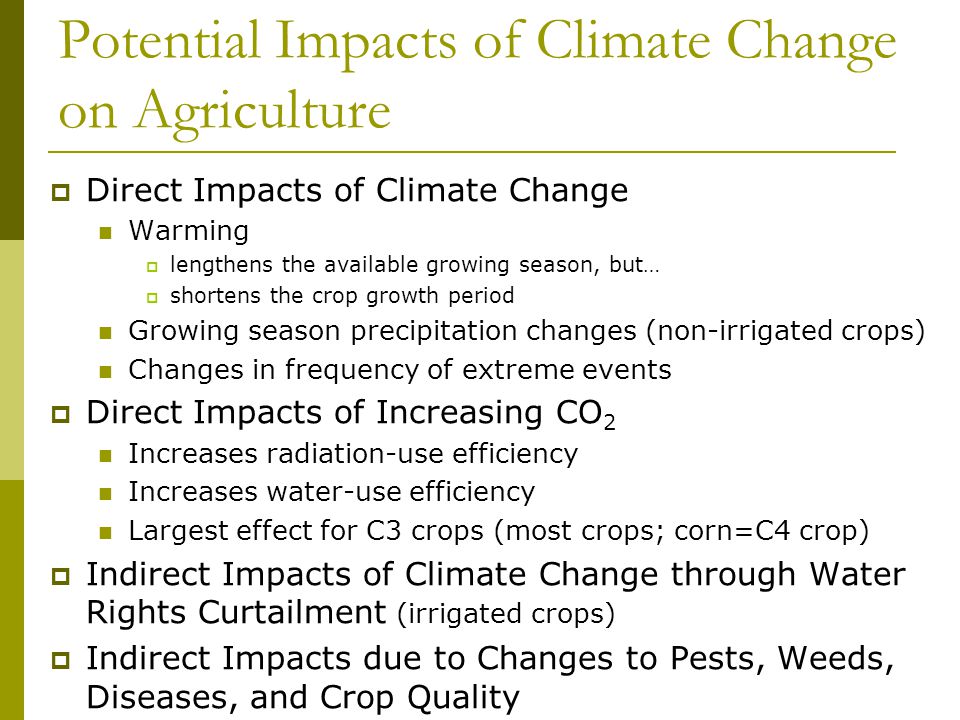 Potential Impacts of Climate Change on Agriculture  Direct Impacts of Climate Change Warming  lengthens the available growing season, but…  shortens the crop growth period Growing season precipitation changes (non-irrigated crops) Changes in frequency of extreme events  Direct Impacts of Increasing CO 2 Increases radiation-use efficiency Increases water-use efficiency Largest effect for C3 crops (most crops; corn=C4 crop)  Indirect Impacts of Climate Change through Water Rights Curtailment (irrigated crops)  Indirect Impacts due to Changes to Pests, Weeds, Diseases, and Crop Quality