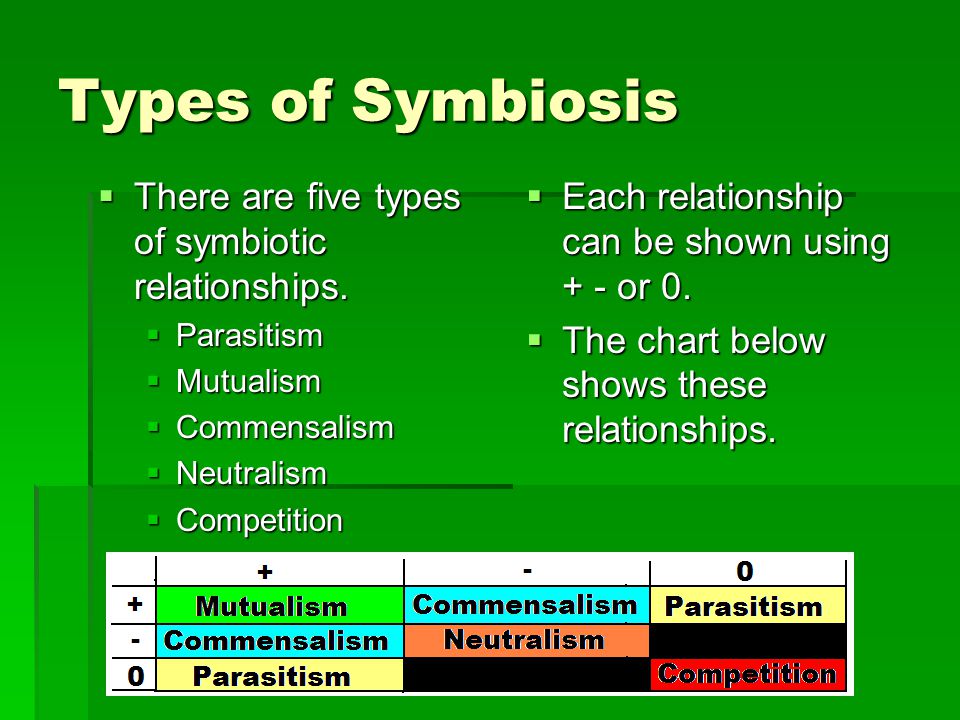 Symbiotic Relationship Chart