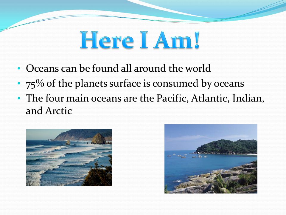 Oceans can be found all around the world 75% of the planets surface is consumed by oceans The four main oceans are the Pacific, Atlantic, Indian, and Arctic