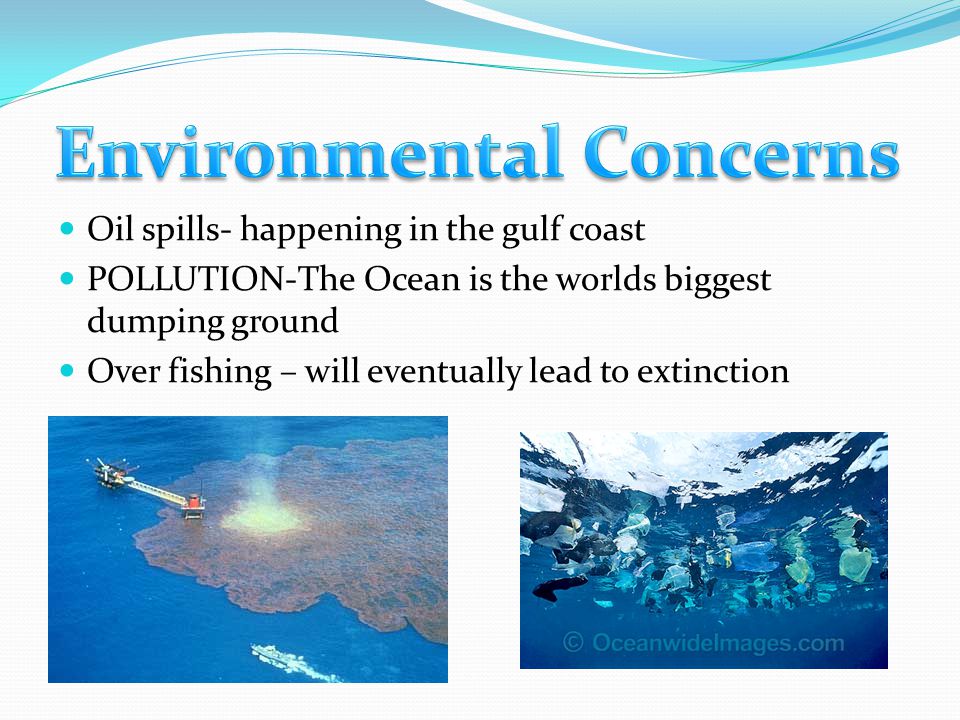 Oil spills- happening in the gulf coast POLLUTION-The Ocean is the worlds biggest dumping ground Over fishing – will eventually lead to extinction