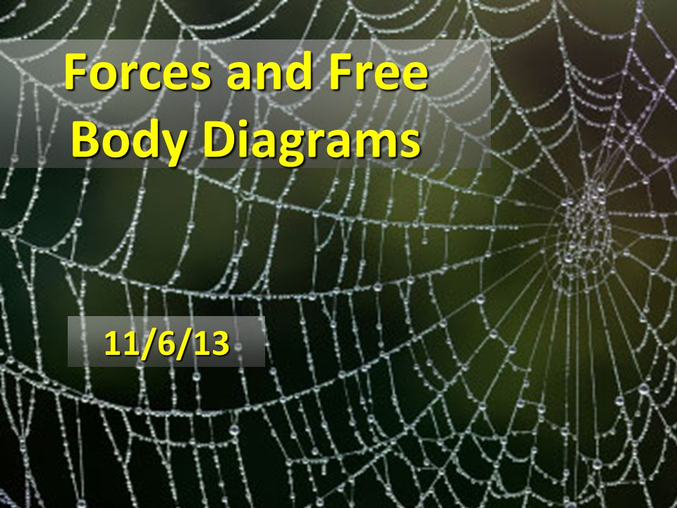 Forces and Free Body Diagrams 11/6/13