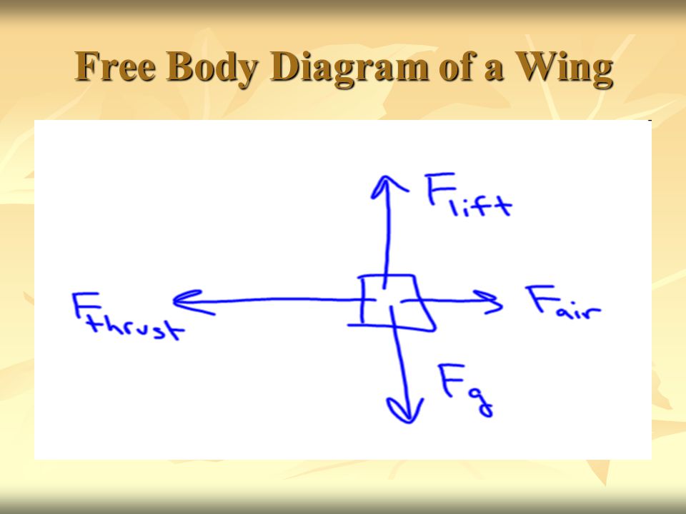 Free Body Diagram of a Wing