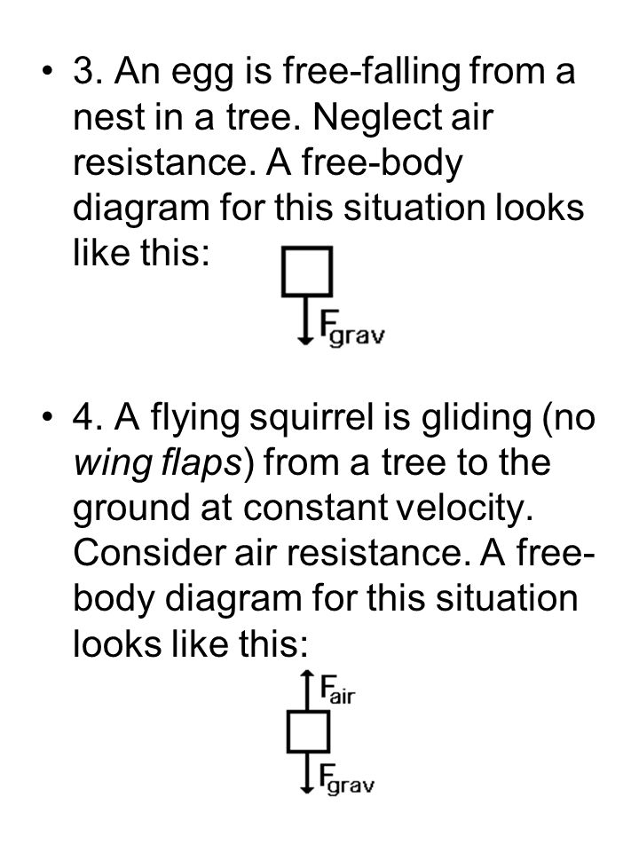 3. An egg is free-falling from a nest in a tree. Neglect air resistance.