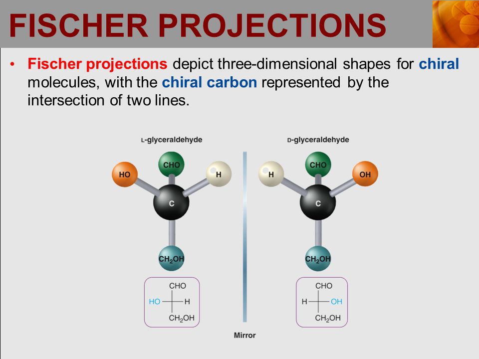 FISCHER PROJECTIONS Fischer projections depict three-dimensional shapes for chiral molecules, with the chiral carbon represented by the intersection of two lines.
