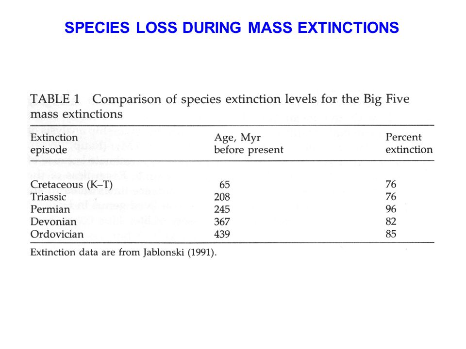 SPECIES LOSS DURING MASS EXTINCTIONS