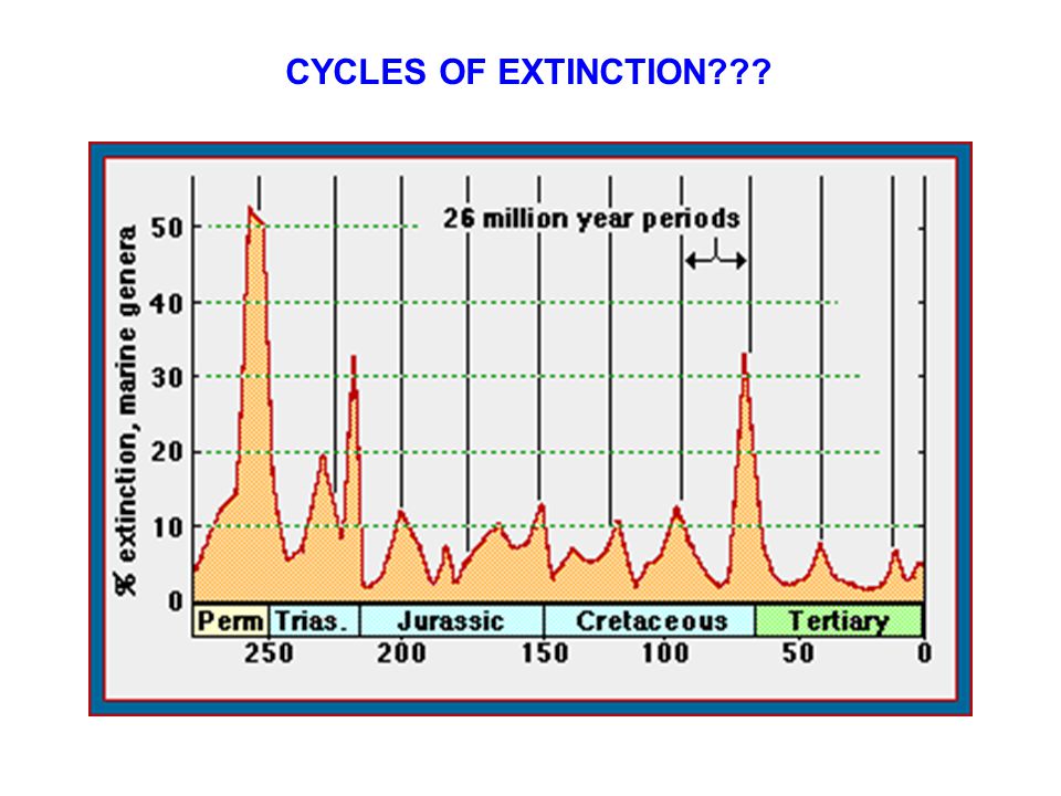 CYCLES OF EXTINCTION