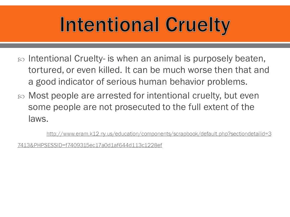  Intentional Cruelty- is when an animal is purposely beaten, tortured, or even killed.