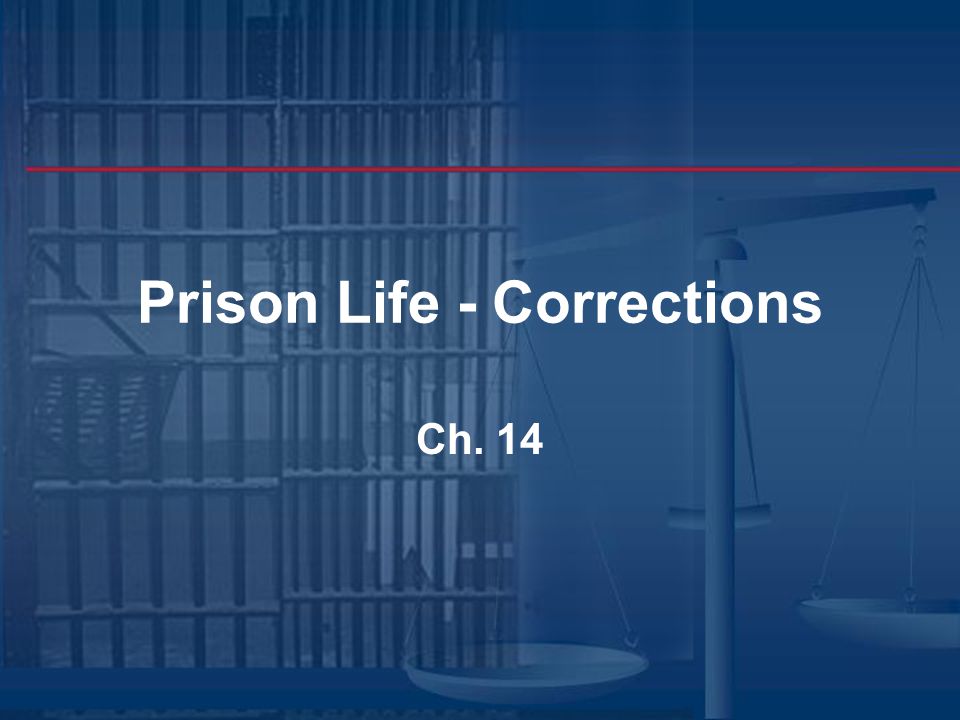 Prison Life Corrections Ch 14 Chapter 14 Highlights Male