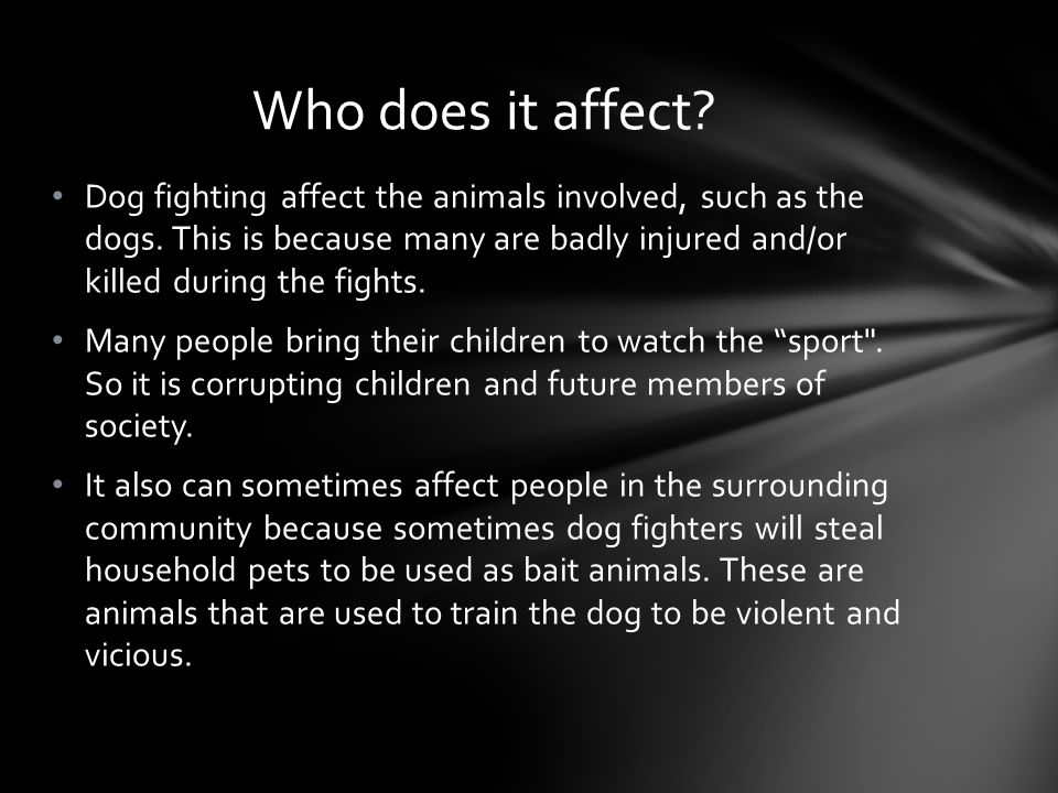 Dog fighting affect the animals involved, such as the dogs.