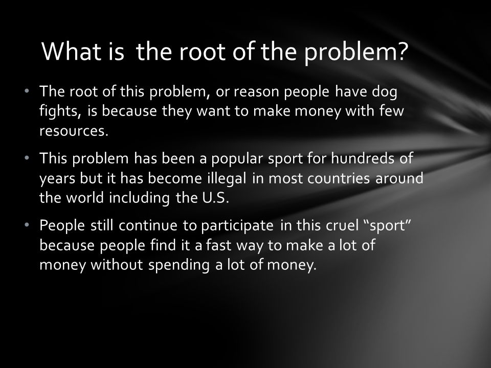 The root of this problem, or reason people have dog fights, is because they want to make money with few resources.