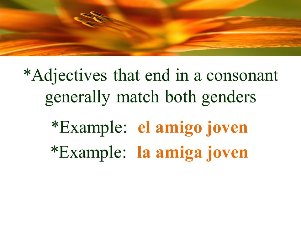 *Adjectives that end in a consonant generally match both genders *Example: el amigo joven *Example: la amiga joven