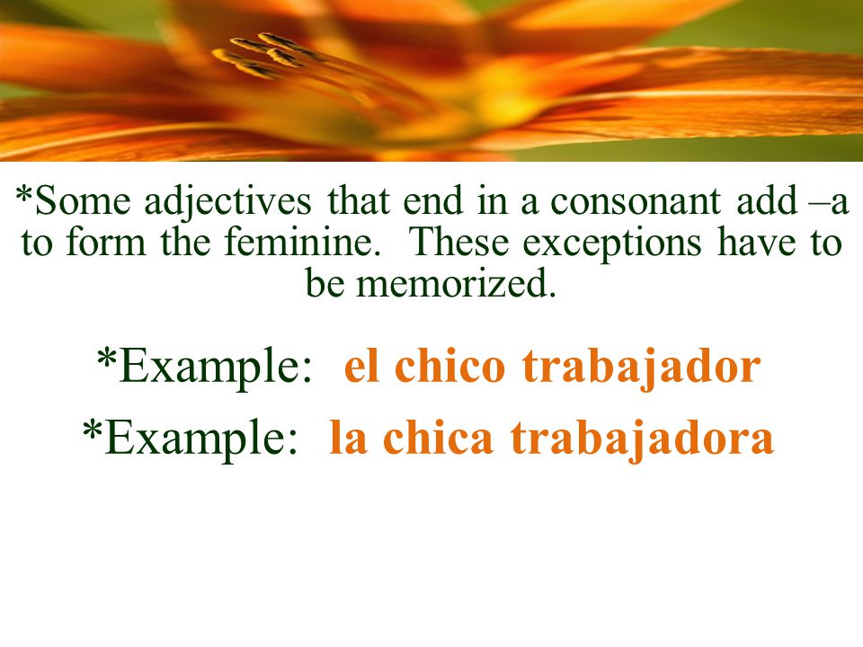*Some adjectives that end in a consonant add –a to form the feminine.