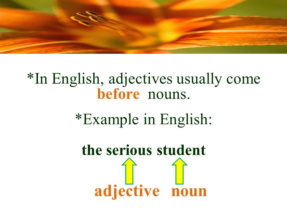 *Example in English: the serious student nounadjective *In English, adjectives usually come before nouns.