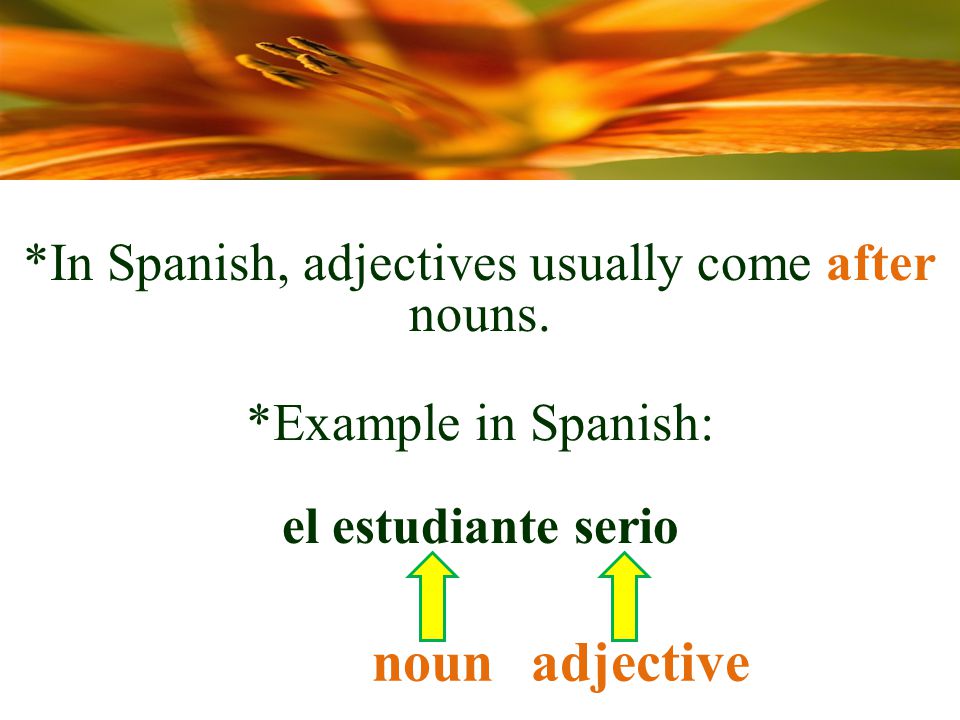 *Example in Spanish: el estudiante serio nounadjective *In Spanish, adjectives usually come after nouns.