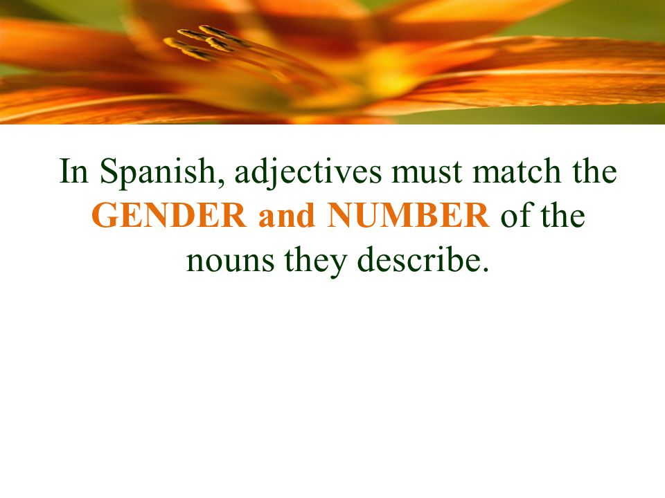 In Spanish, adjectives must match the GENDER and NUMBER of the nouns they describe.
