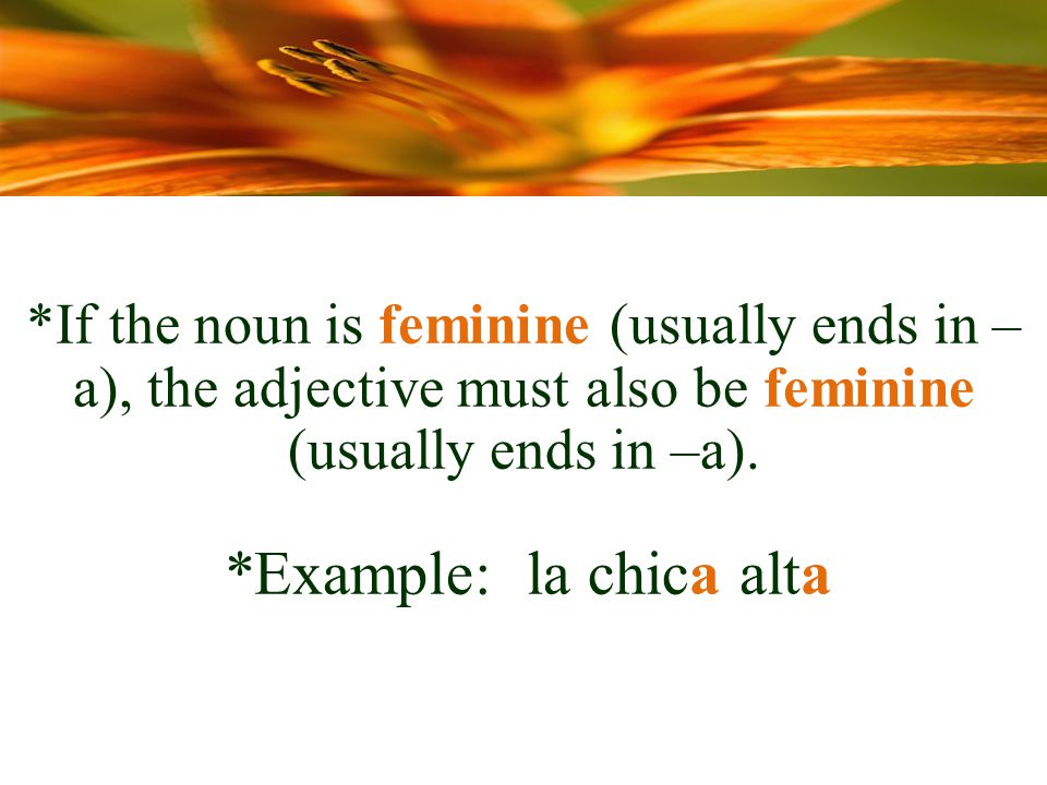 *If the noun is feminine (usually ends in – a), the adjective must also be feminine (usually ends in –a).