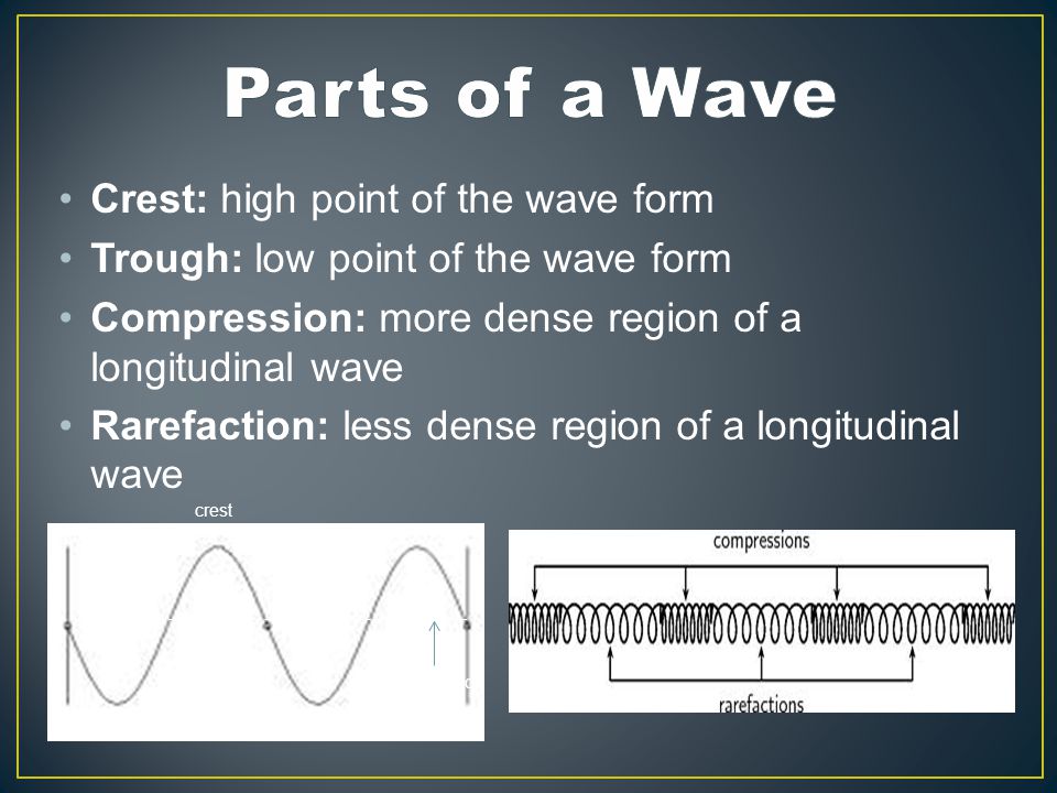 Crest: high point of the wave form Trough: low point of the wave form Compression: more dense region of a longitudinal wave Rarefaction: less dense region of a longitudinal wave crest trough Rest position