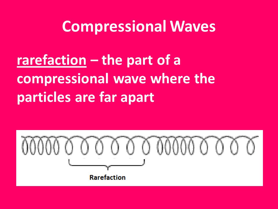 Compressional Waves rarefaction – the part of a compressional wave where the particles are far apart