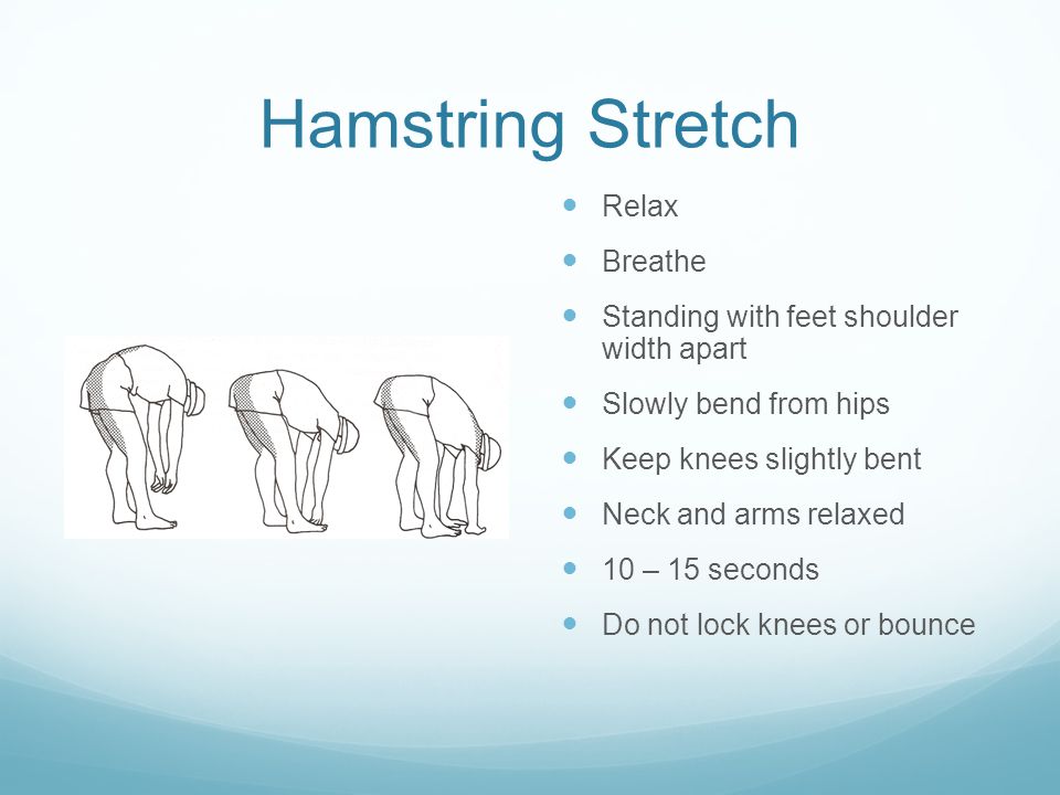 Hamstring Stretch Relax Breathe Standing with feet shoulder width apart Slowly bend from hips Keep knees slightly bent Neck and arms relaxed 10 – 15 seconds Do not lock knees or bounce