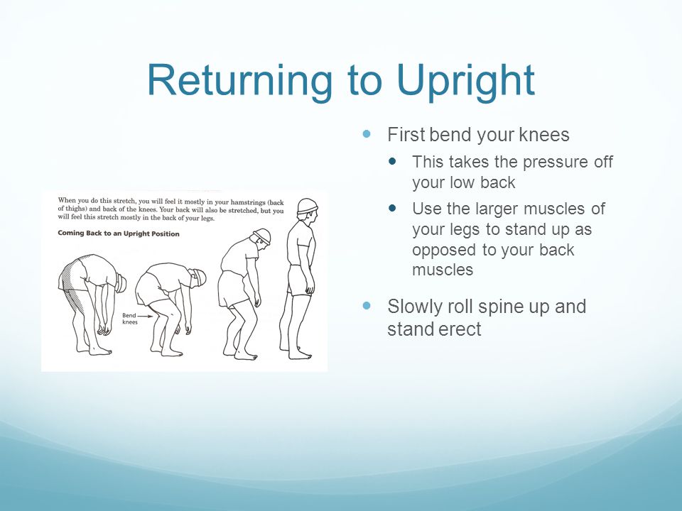 Returning to Upright First bend your knees This takes the pressure off your low back Use the larger muscles of your legs to stand up as opposed to your back muscles Slowly roll spine up and stand erect