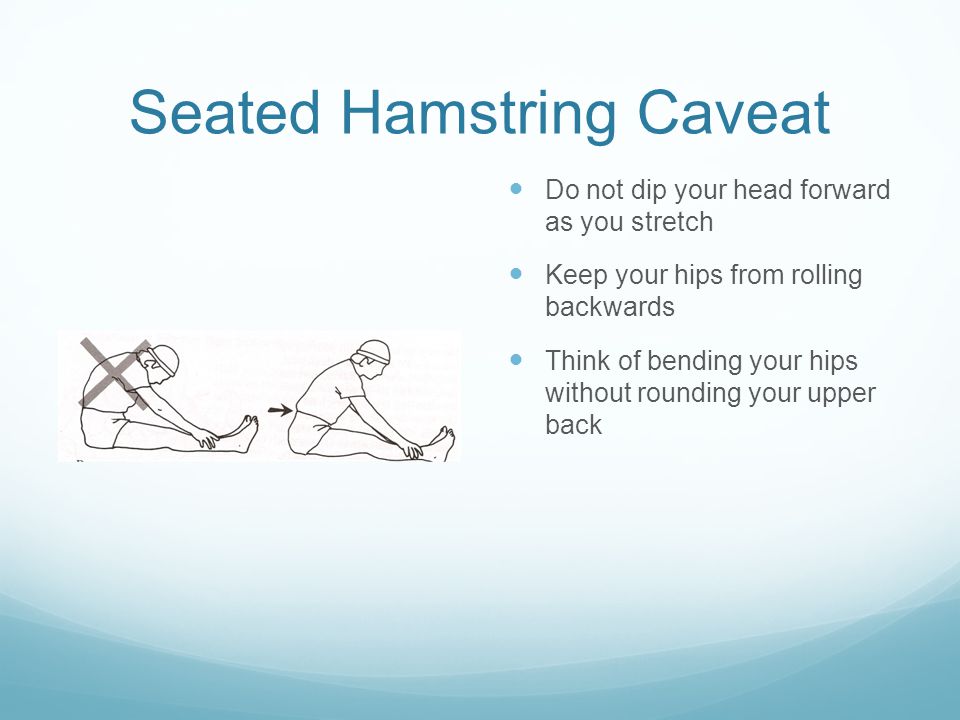 Seated Hamstring Caveat Do not dip your head forward as you stretch Keep your hips from rolling backwards Think of bending your hips without rounding your upper back
