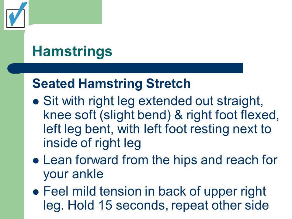 Hamstrings Seated Hamstring Stretch Sit with right leg extended out straight, knee soft (slight bend) & right foot flexed, left leg bent, with left foot resting next to inside of right leg Lean forward from the hips and reach for your ankle Feel mild tension in back of upper right leg.