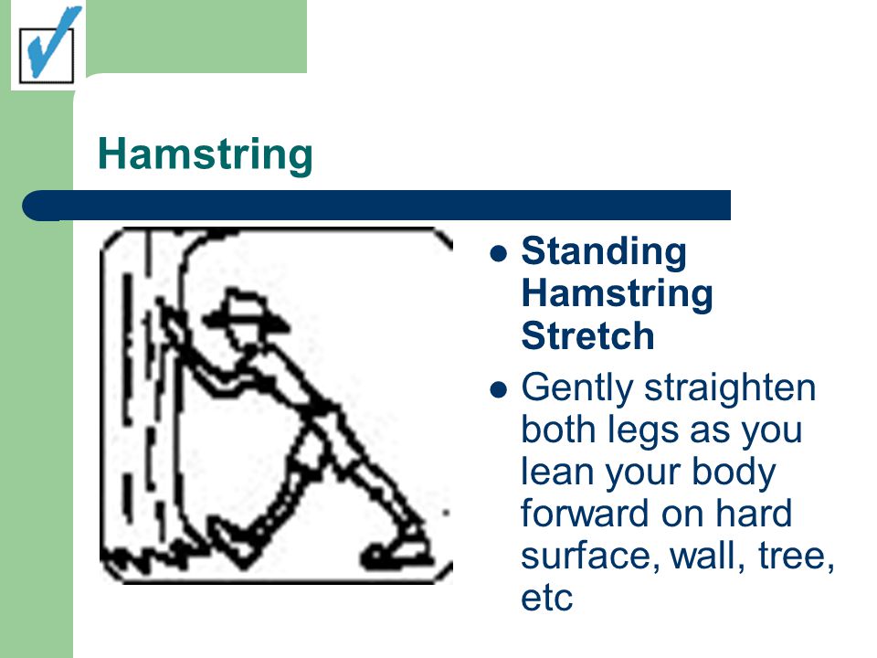 Hamstring Standing Hamstring Stretch Gently straighten both legs as you lean your body forward on hard surface, wall, tree, etc