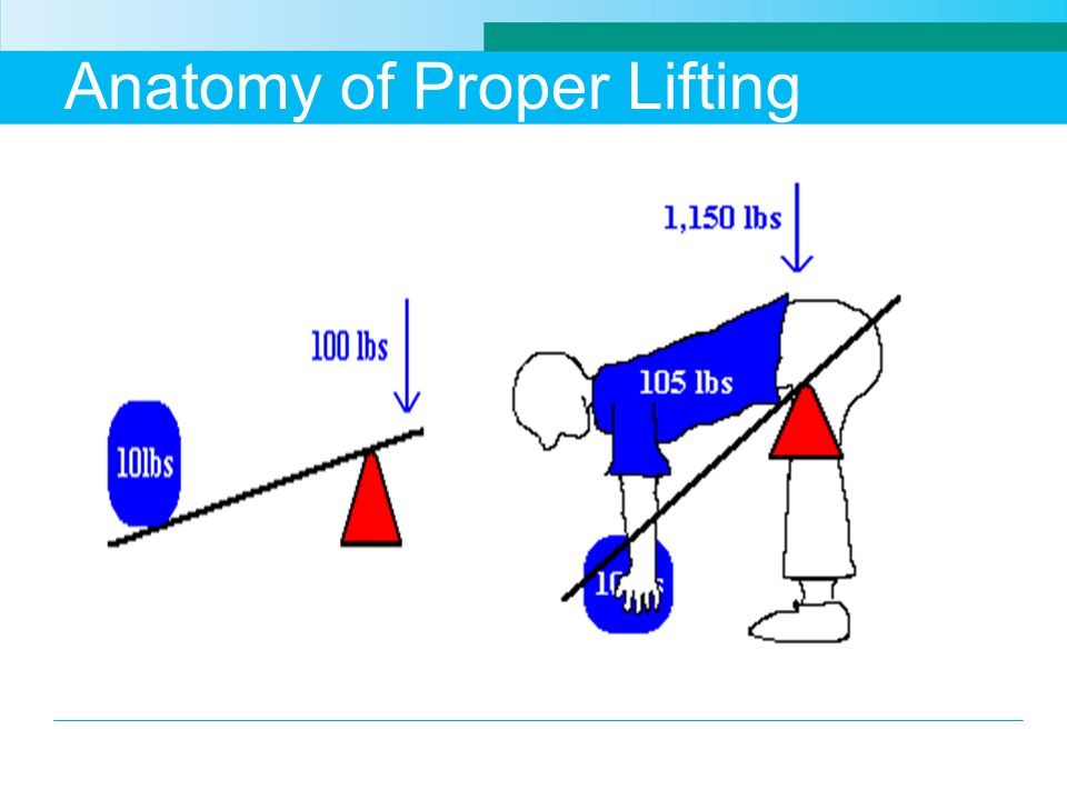 Anatomy of Proper Lifting